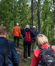 Ryggarna på ett sällskap som vandrar på Åland.