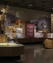 Basutställningen vid Ålands Kulturhistoriska museum i Mariehamn.