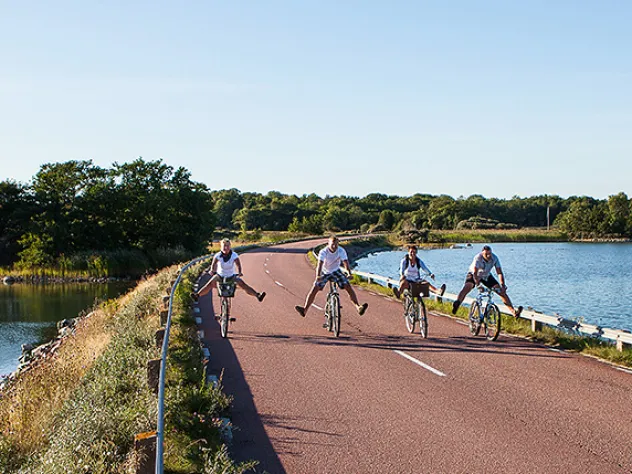 Fyra glada cyklister spexar på en landsväg med havet på båda sidor.